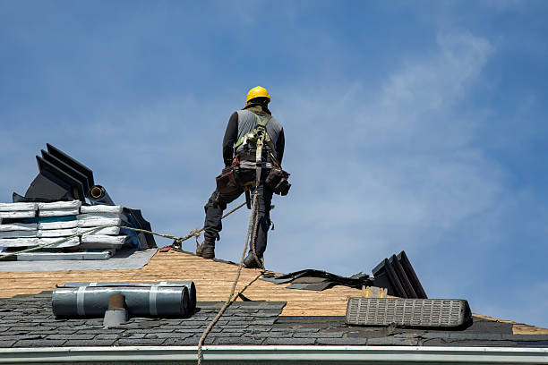 Professional Storm Damage Roof Repair technician working in Weston, GA